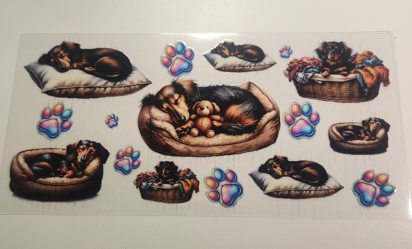 Dog Sleeping (284)