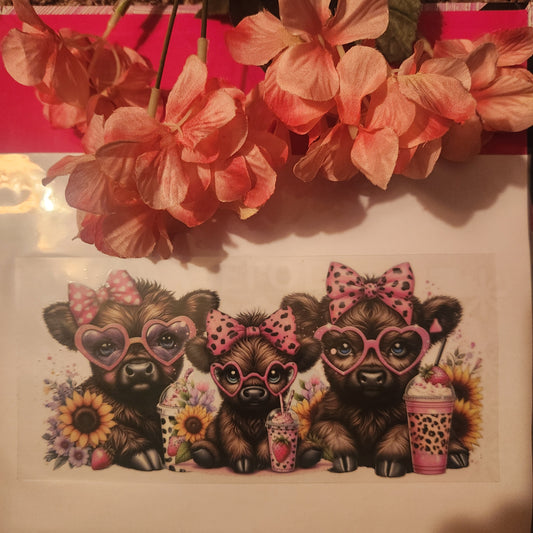 Cows with Hairbows/Glasses (36)